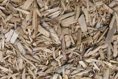 biomass boilers John Ogaunt